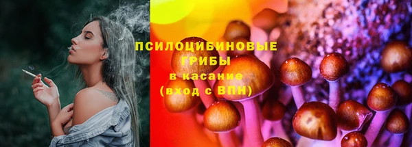 тгк Нязепетровск
