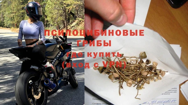 MDMA Няндома