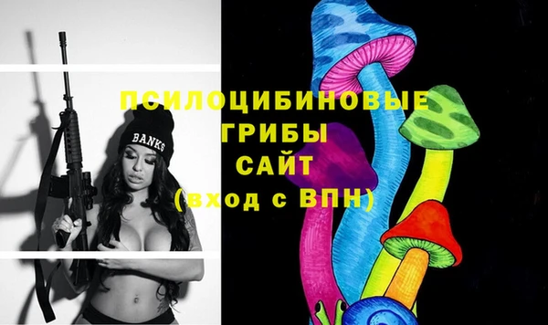 винт Нягань