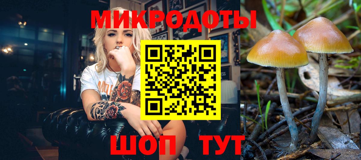 Псилоцибиновые грибы прущие грибы  Вход с VPN  Балашов 