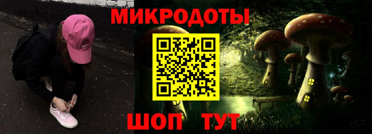 Псилоцибиновые грибы Cubensis Балашов